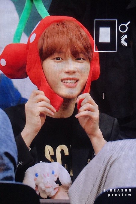 인간체리인지 카드캡터체리인지 체리로 박제된 아이돌 | 인스티즈