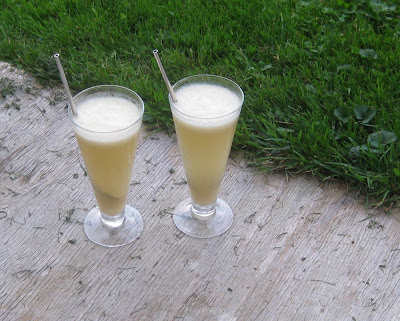 Bellini selbstgemacht Bellini selbstgemacht