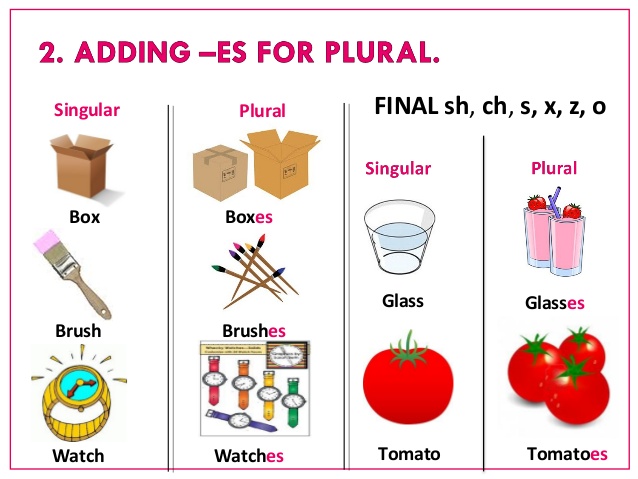 ceiptoursenglish2-singular-and-plural-and-past