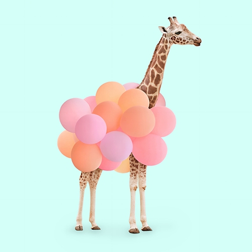 "Party Giraffe" por Paul Fuentes | photo collage composition, cool stuff, pictures, trends | imagenes chidas imaginativas bonitas