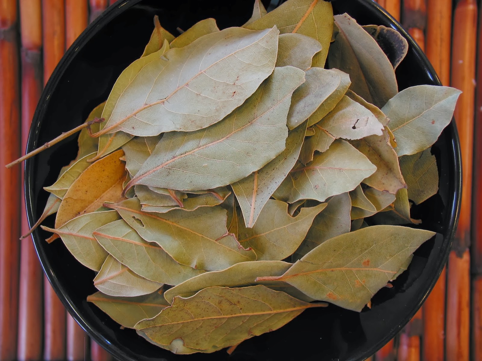 A Charmed Existence Bay Laurel Leaves