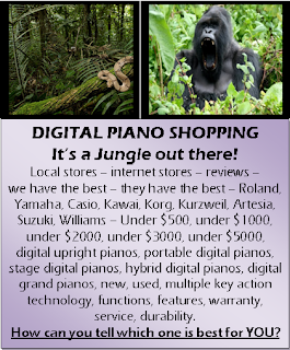 Digital Piano Shopping