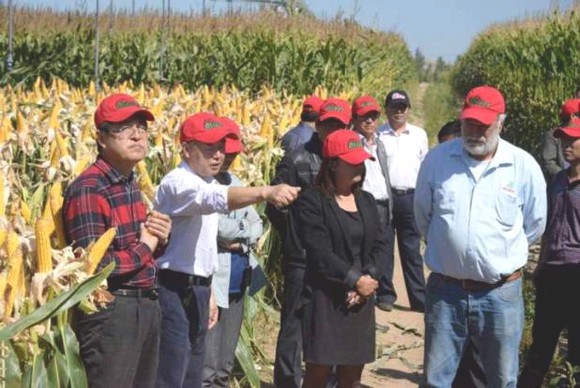 Uno de los responsables del crecimiento agrónomo en China es mexicano, México lo ignoró 