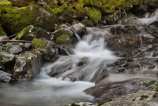Torrente sul sentiero Torrente sul sentiero