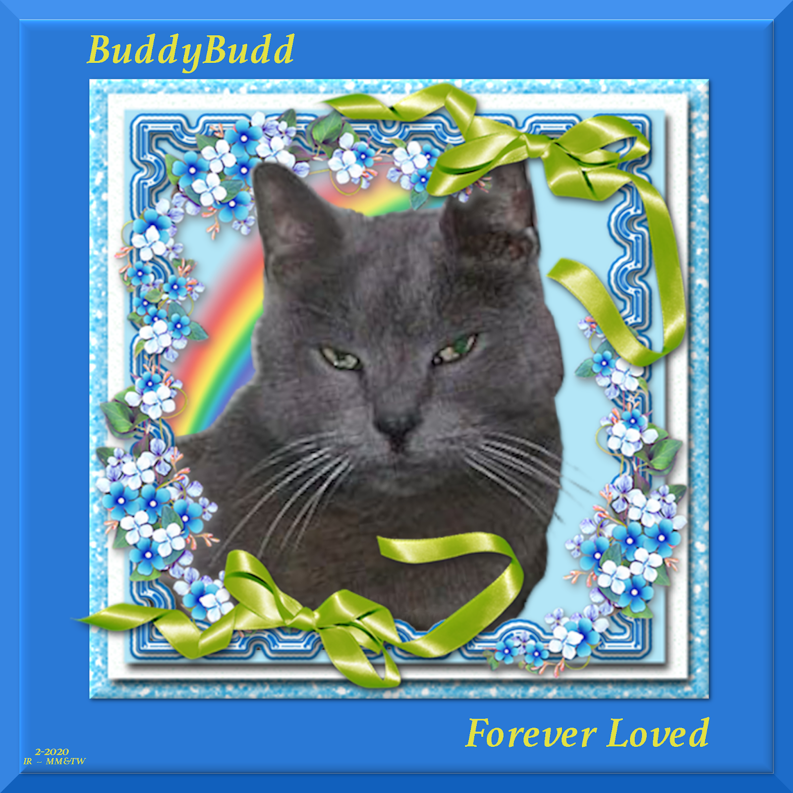 Buddy Budd Forever