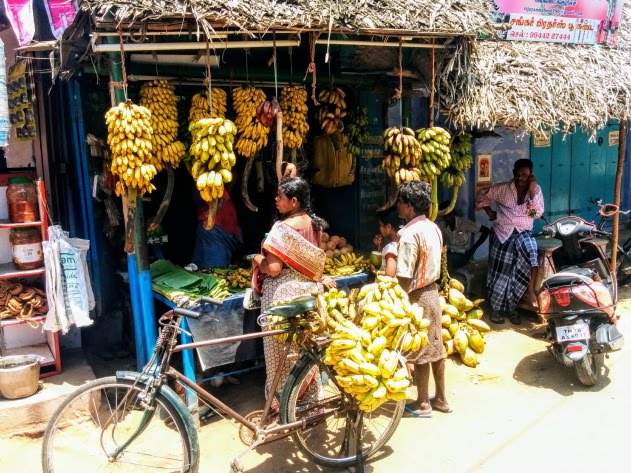 Variety of Bananas on sale at Kallidaikurichi, Tamil Nadu