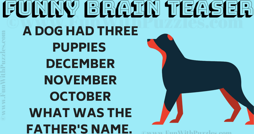 dog brain puzzles