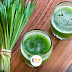 Wheatgrass Juice For Optimal Health and Disease Prevention