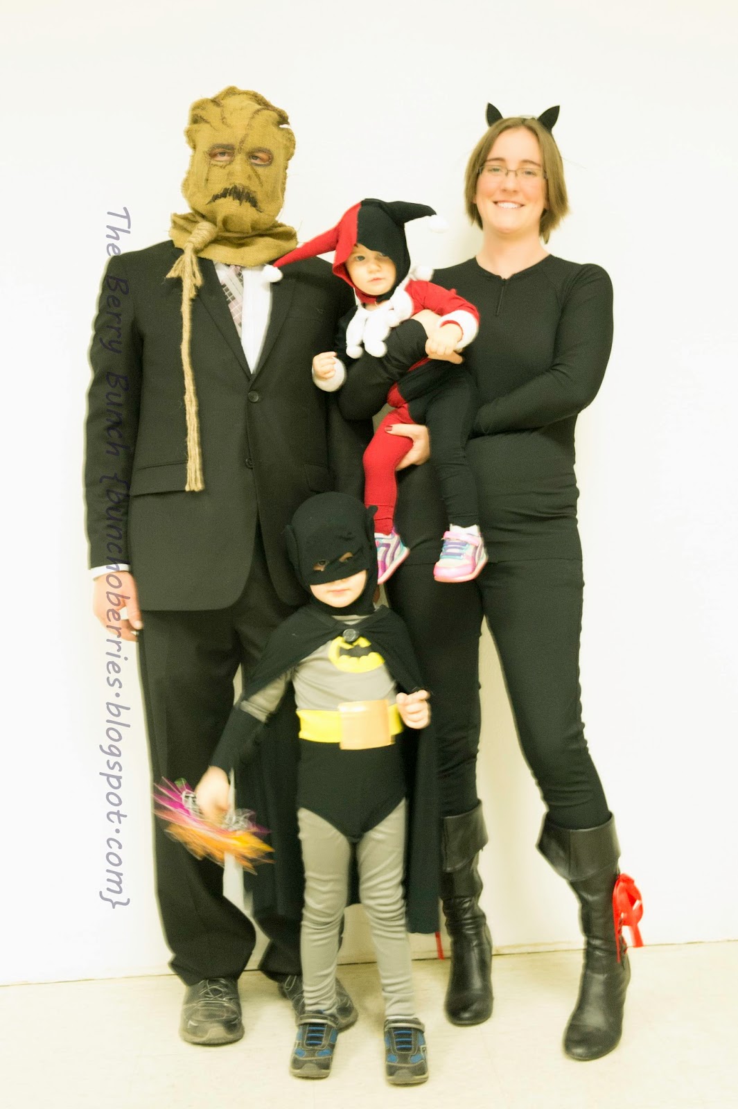 The Berry Bunch: Happy Halloween: Batman Theme Costumes