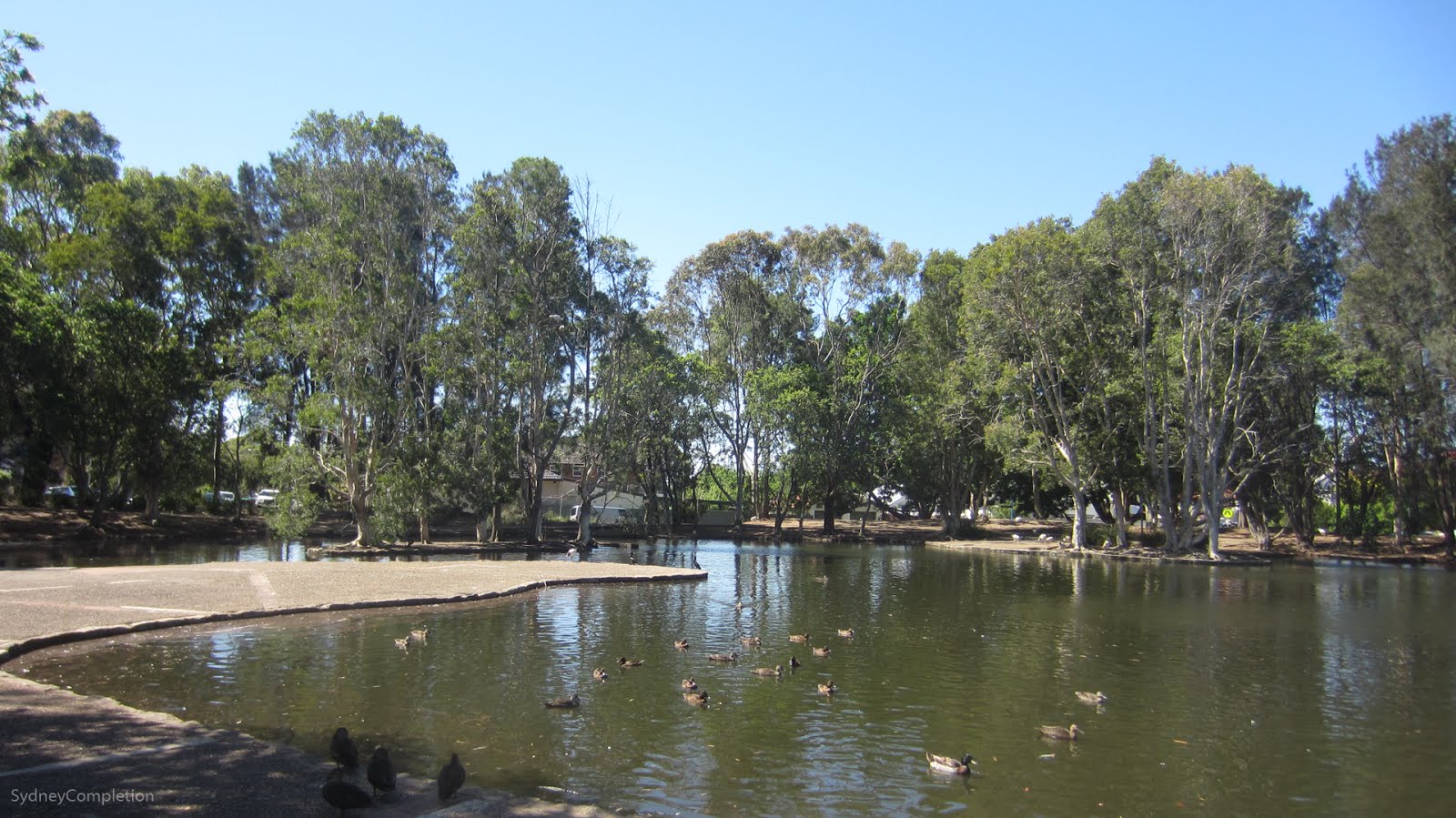 An Excellent Park Wiley Park Completing Sydney