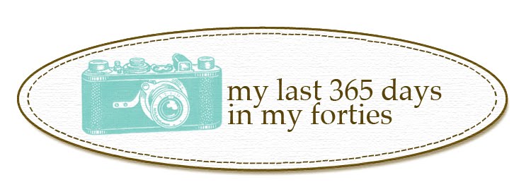 My Last 365 Days in my Forties