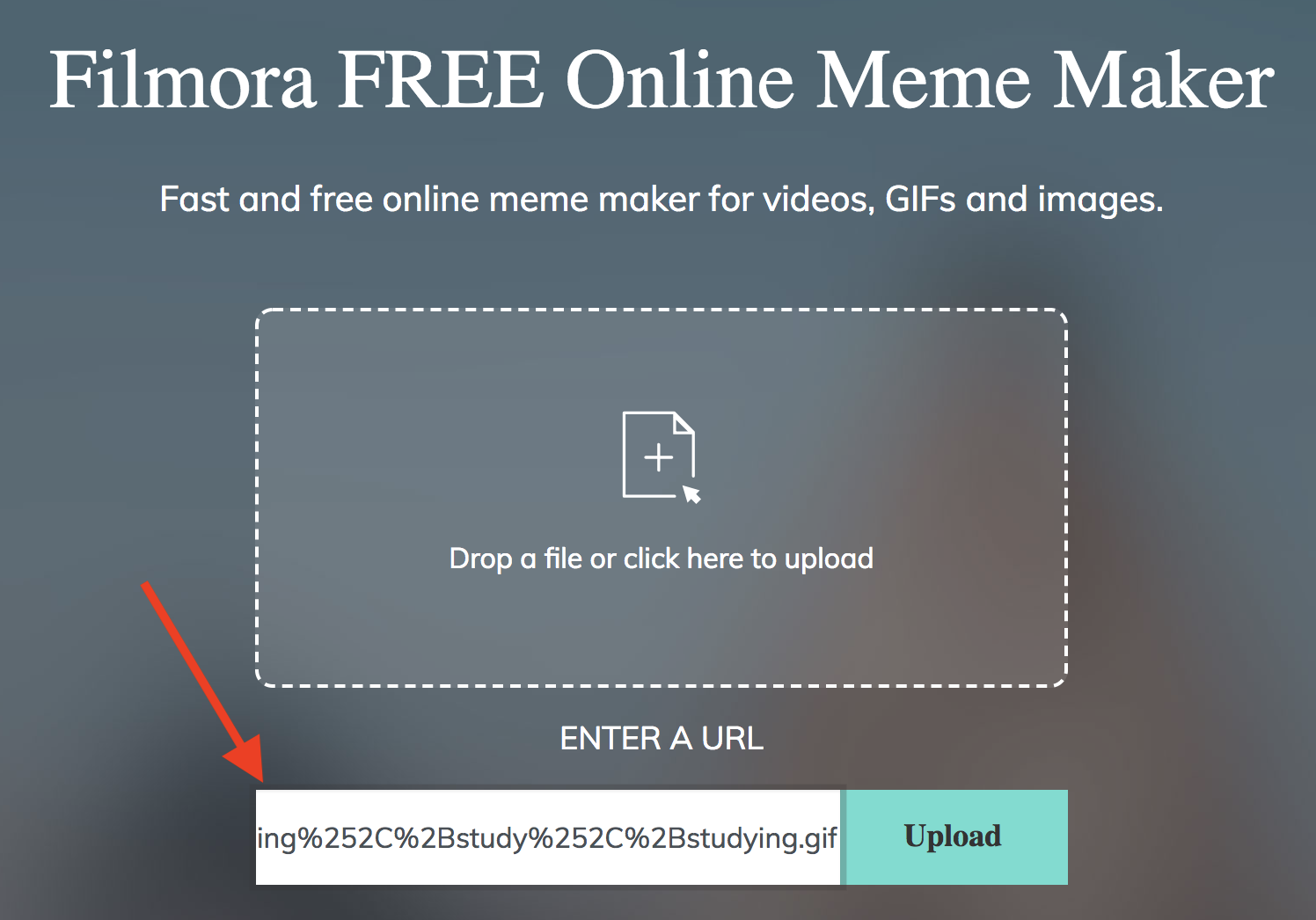 Video Meme Maker, Create Animated Memes for Free