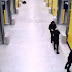 The biggest Cocaine Trial in Germany, the Albanians role