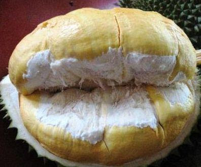 Durian Bawor Durian Bawor