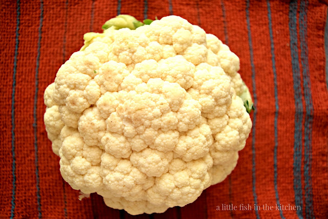 A fresh head of raw cauliflower rests on an orange and blue striped cotton kitchen towel. It's rinsed and ready to separated into florets. 