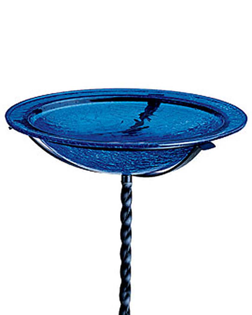 Bird In Everything Bird Bath Glass