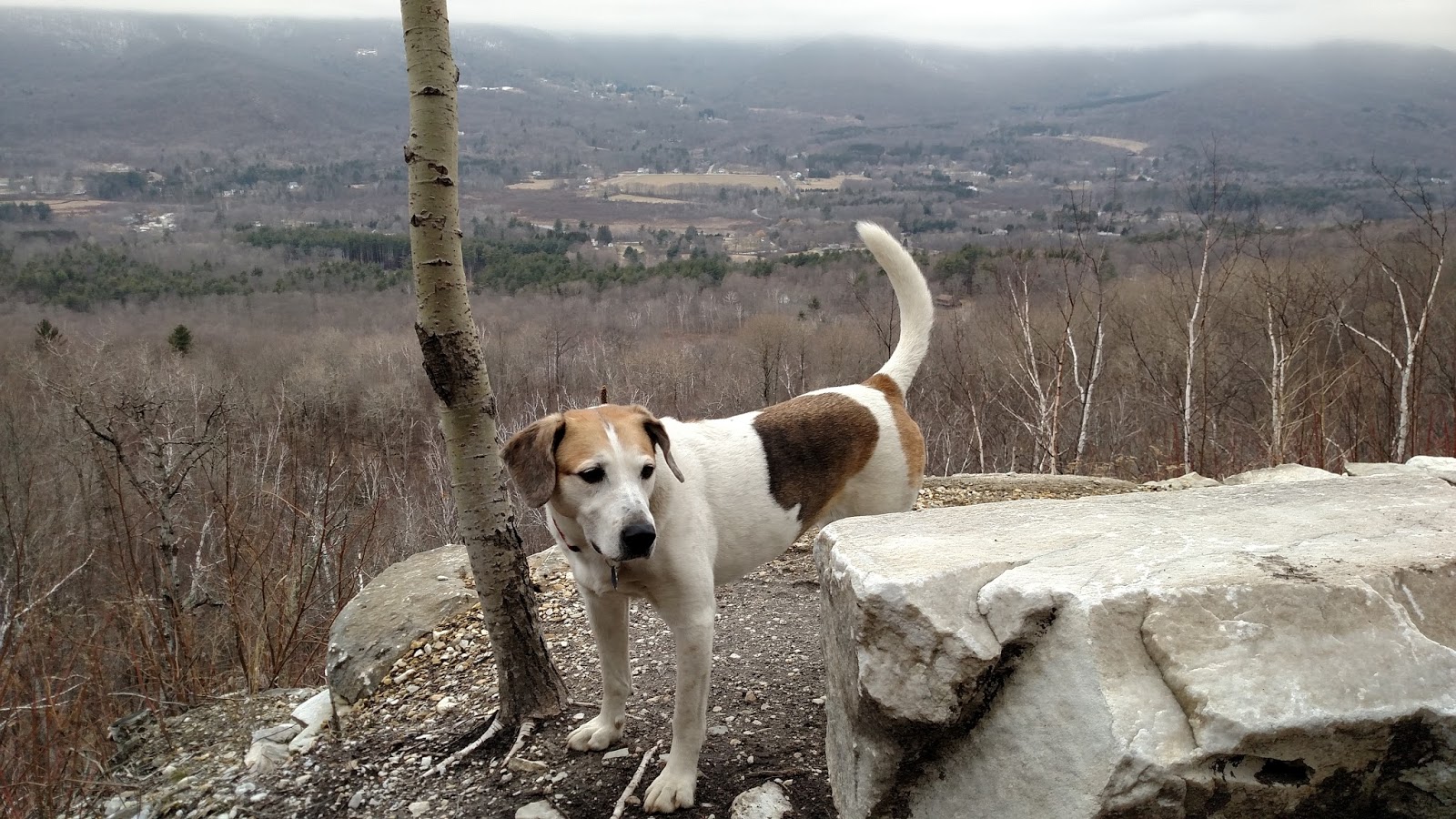 Off on Adventure Gettysburg Quarry and Gilbert Lookout Owl's Head
