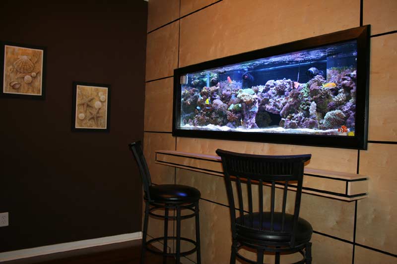 How to make wall aquarium and wall fish tank DIY