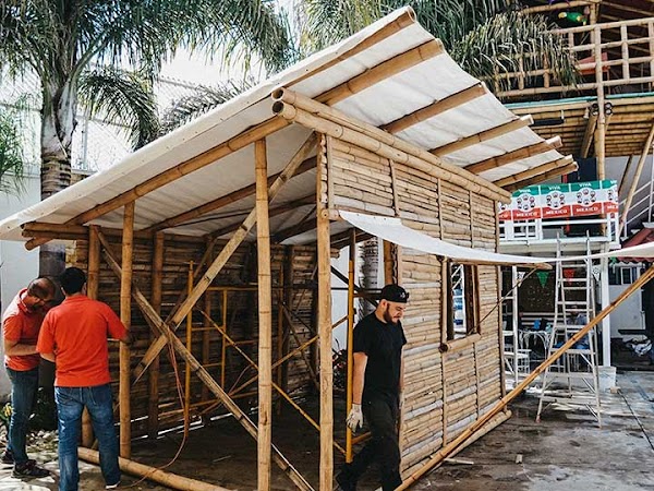 Edificarán casas de bambú para damnificados por 19:S, en Puebla Edificarán casas de bambú para damnificados por 19:S, en Puebla