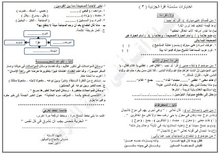 اختبارات جزئية من سلسلة اقرأ فى اللغة العربية - مستر أنور أحمد 6%25D8%25AB