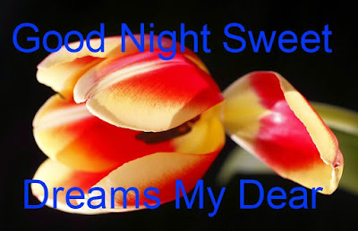good night flowers for lovers good night flowers for lovers