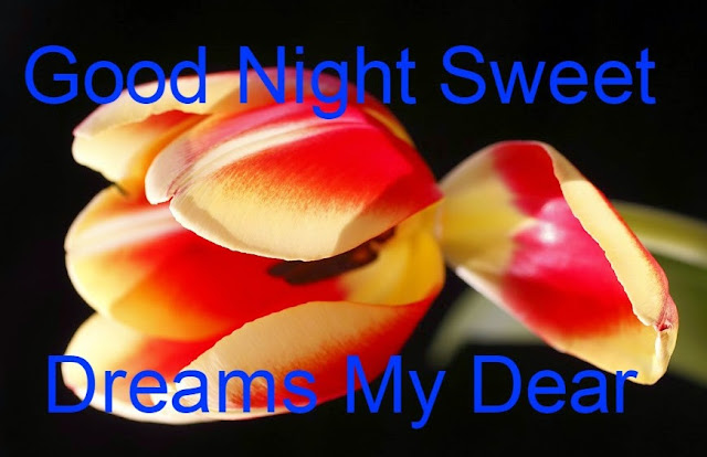 good night flowers for lovers good night flowers for lovers