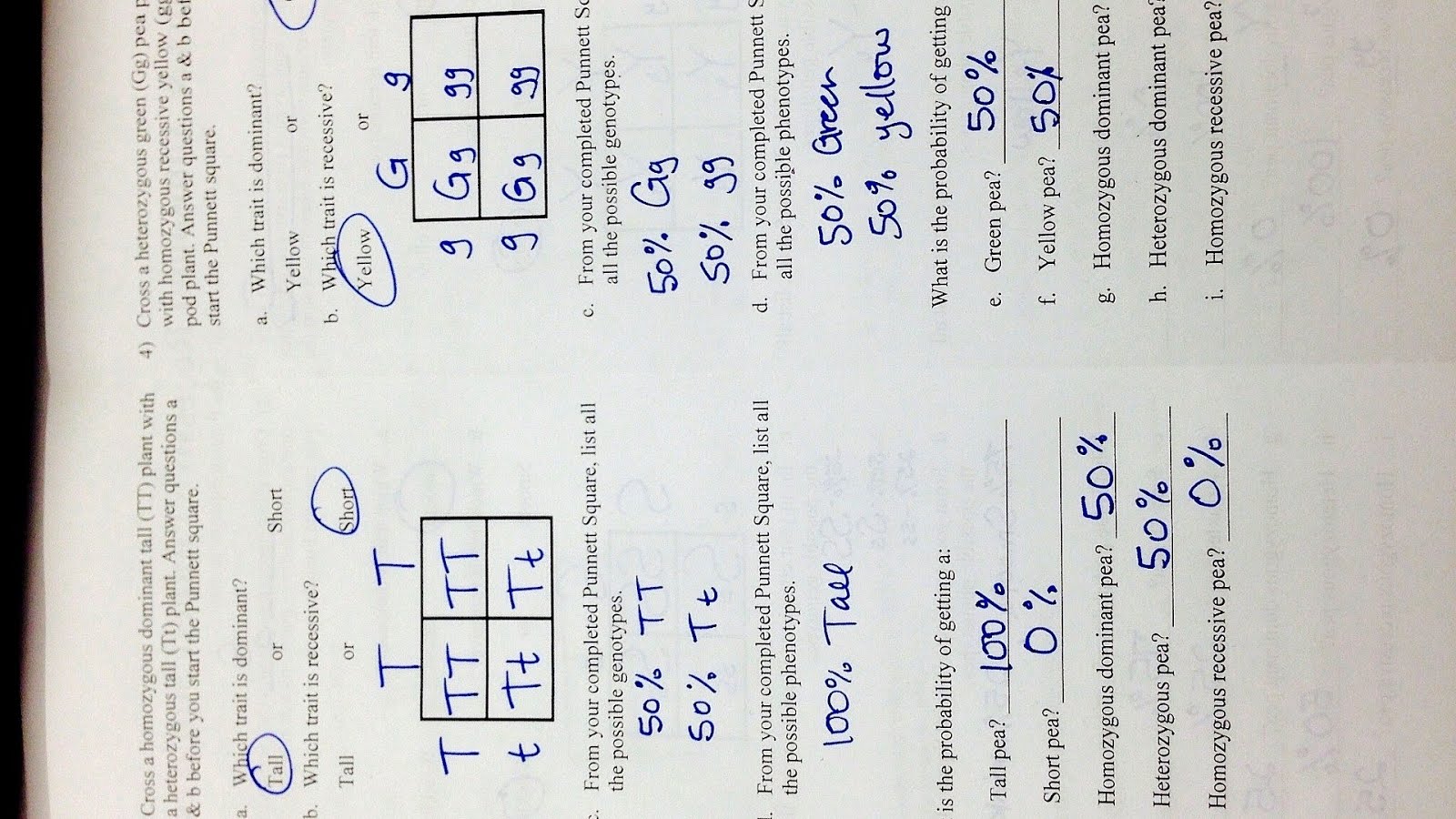 Peppered Moth Simulation Answer Key Pdf