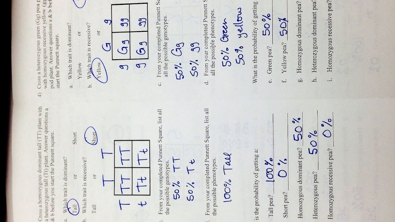 Peppered Moth Simulation Answer Key Pepper Choices