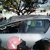 Após roubarem caminhonete, assaltantes são mortos em confronto com a polícia, em Ipirá