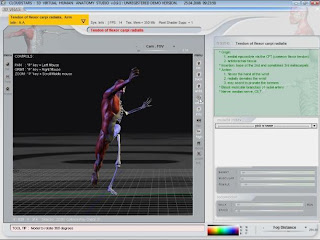 Download 3D Virtual Human Anatomy Studio Gratis