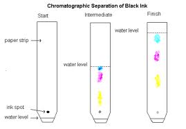 chromatography paper experiment soluble january example less
