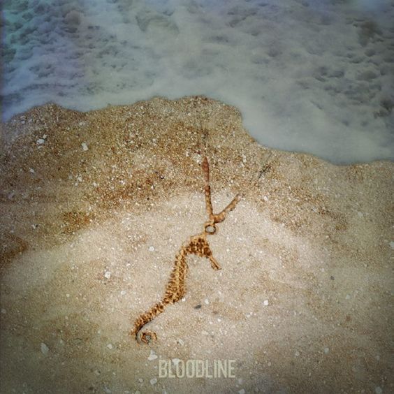 série bloodline é boa