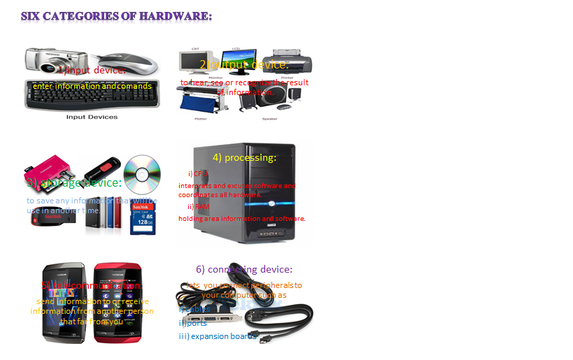 Management Information System Hardware and Software in MIS