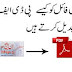 Convert Inpage Urdu (INP) File to PDF Format Free Online 