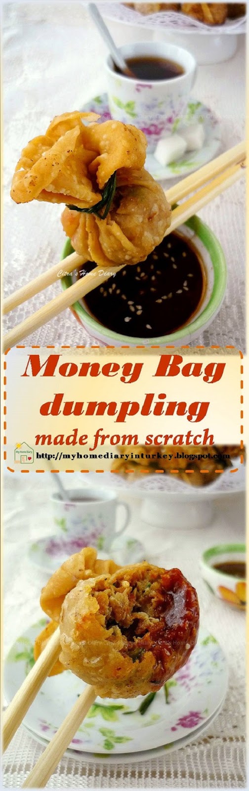 Citra's Home Diary Money Bag dumpling made from scratch