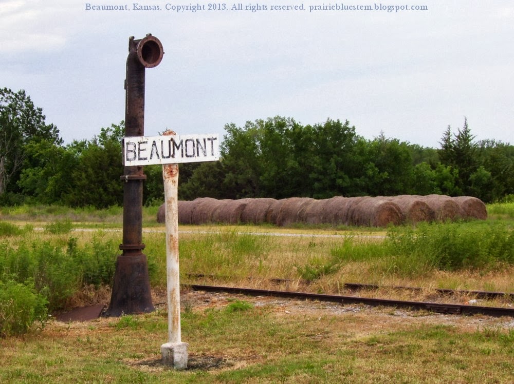 Prairie Bluestem Beaumont, Kansas Railroad Town