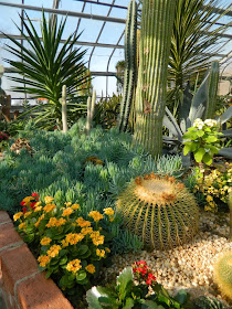 Cacti succulents Centennial Park Conservatory Etobicoke desert garden by garden muses-not another Toronto gardening blog
