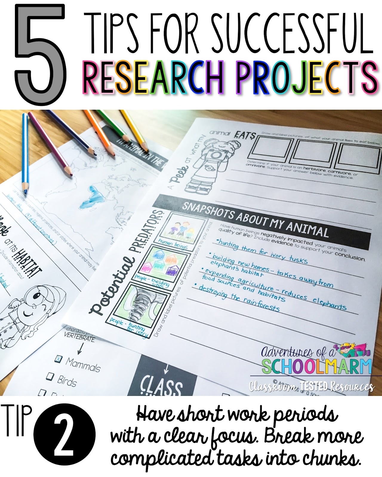 elementary research projects