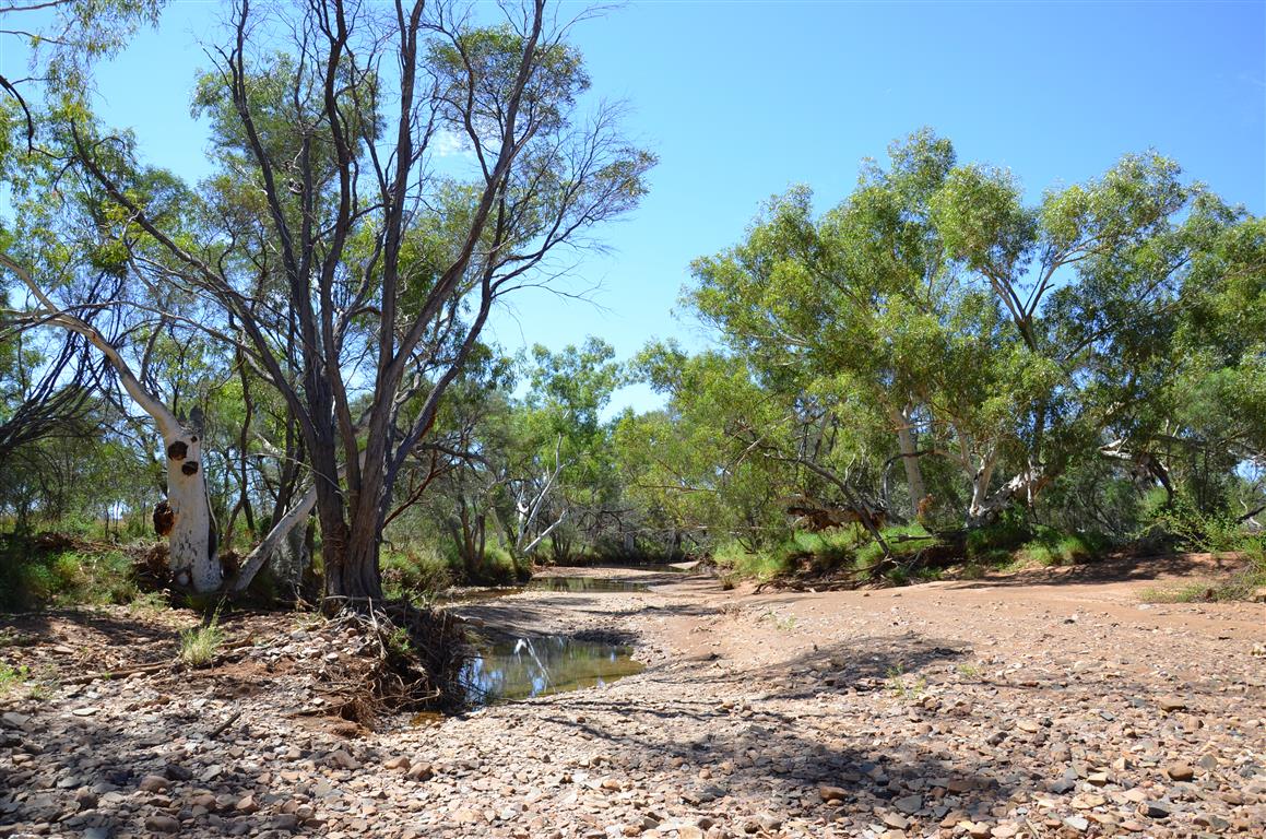 Australien 2013 Mt. AugustusTom Price