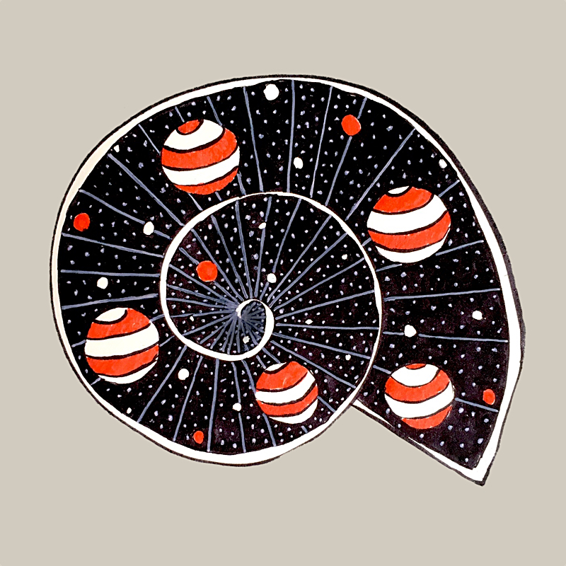 Spiral with planets and stars representing a mix between snail and space