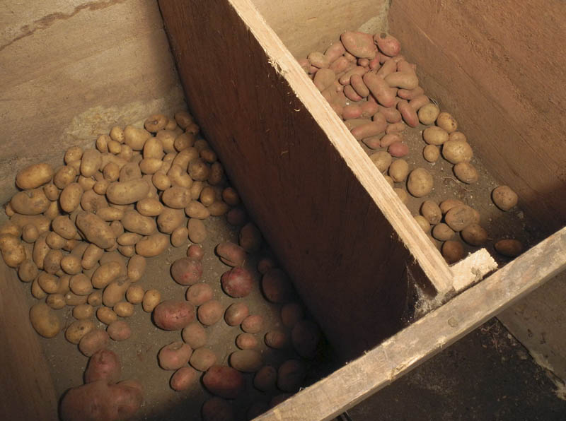 Studio and Garden The Larder is Full; I'm Ready for Winter