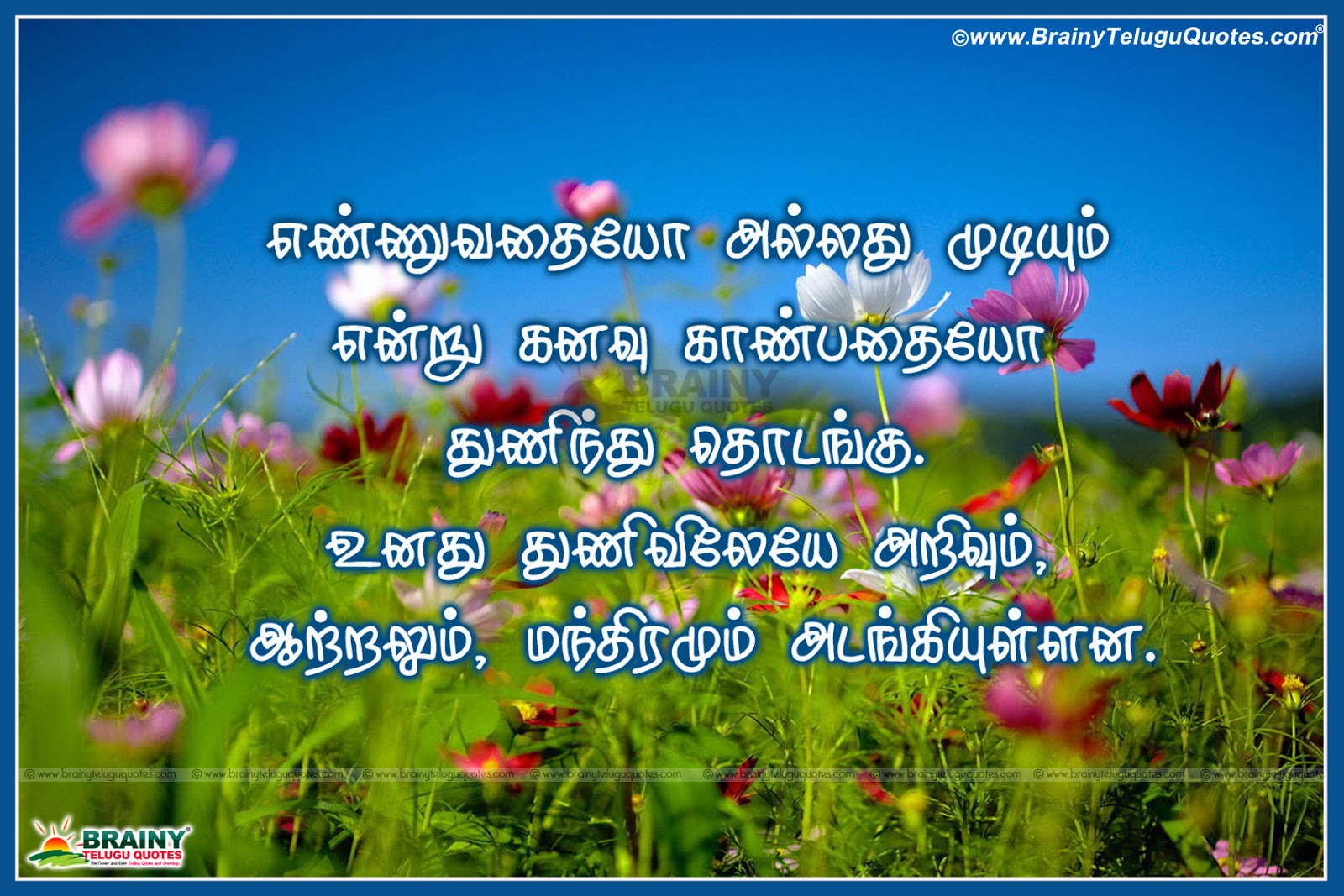 Motivational quotes in Tamil language with HD Wallpapers