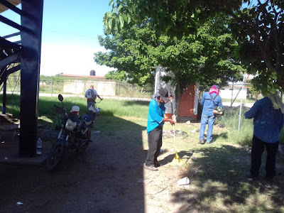 Ponen en marcha trabajos de limpieza  en Unidad Deportiva “Faustino Félix Serna” en Navojoa
