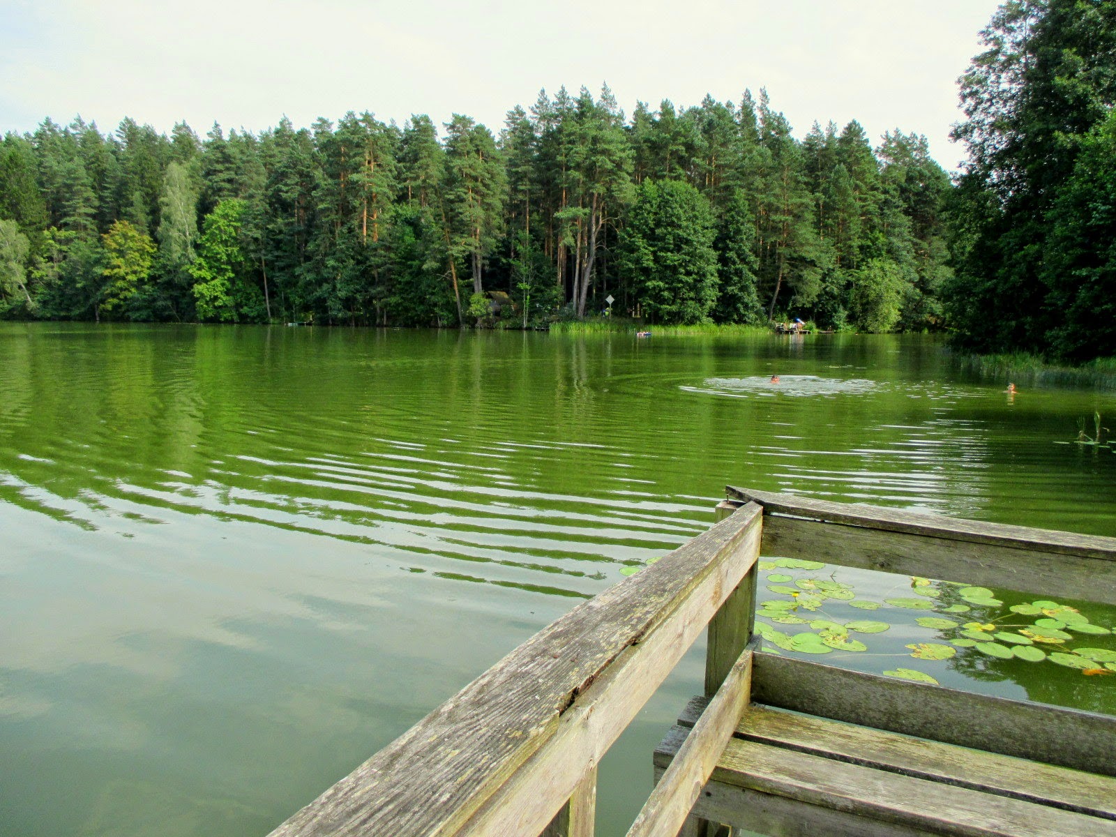 Jezioro Orle