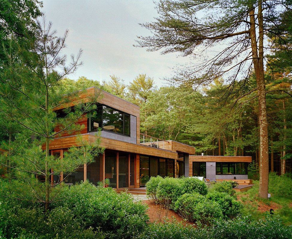33 Rumah minimalis modern kayu di hutan