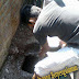 Harga Sedot Wc Surabaya Murah Terbaik 082225-166663