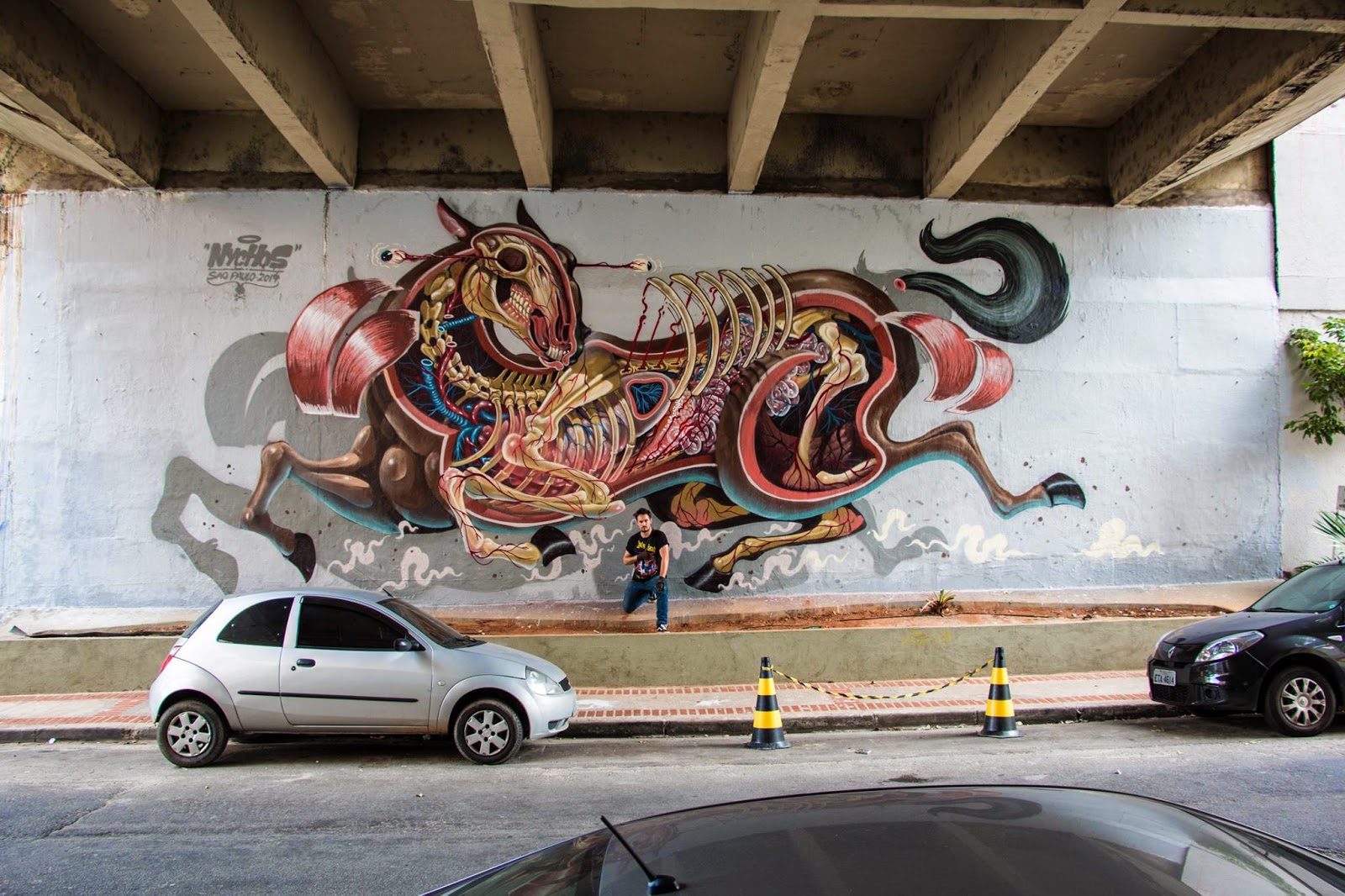 Last seen in Berlin, Germany last month for Urban Spree (covered), Nychos is now in South America where he just finished another signature piece somewhere on the streets of Sao Paulo in Brazil.