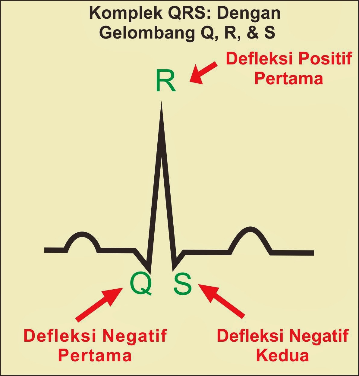 Gelombang pada EKG