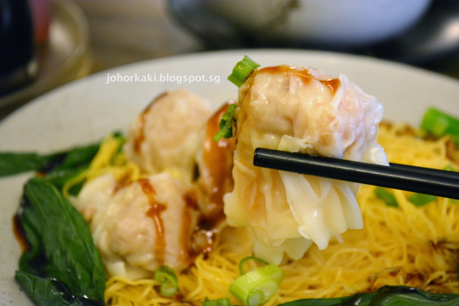 Noodle Village in NYC Chinatown New York City 粥麵軒 Johor Kaki Travels