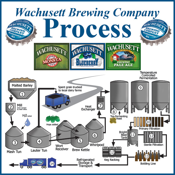 Central Mass Beer Promos The Brewing Process, Simplified